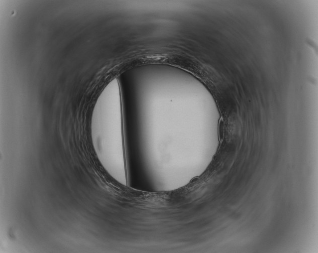 X0000097861394200803140845