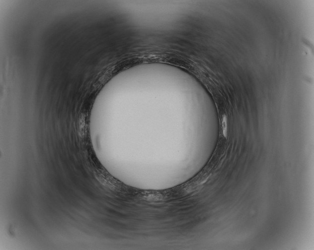 X0000097861395200803140845