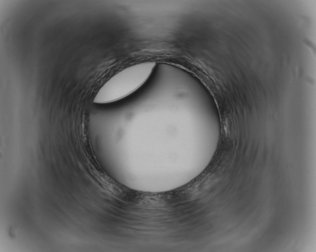 X0000097861396200803140845