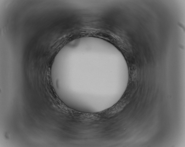X0000097861397200803140846