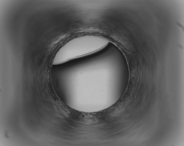 X0000097861398200803140846