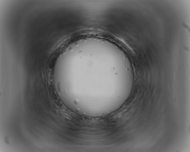 X0000097861399200803140846