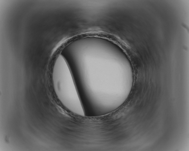 X0000097861400200803140846