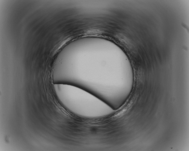 X0000097861401200803140846