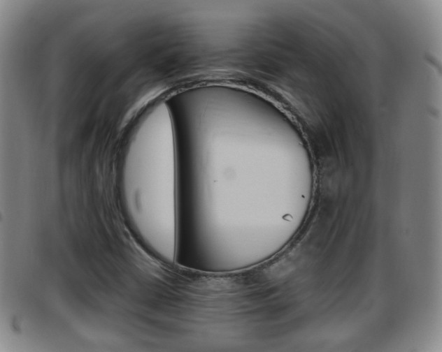 X0000097861402200803140846