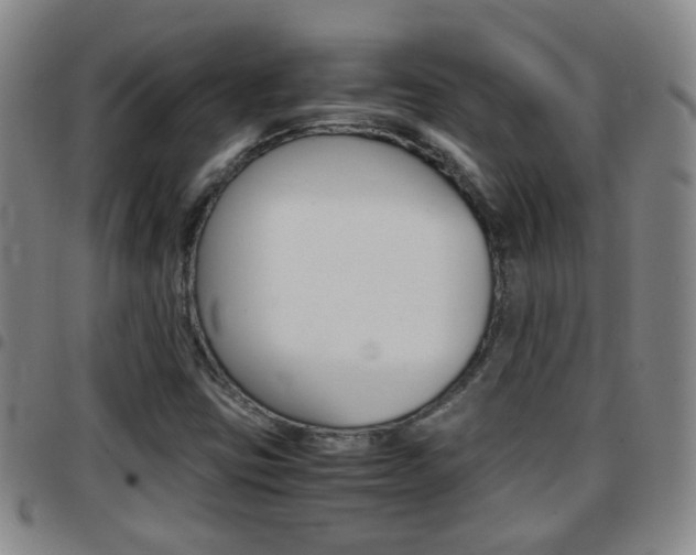 X0000097861403200803140846