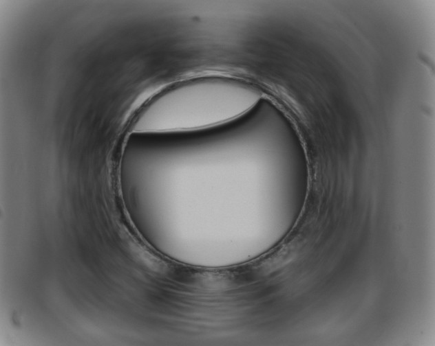 X0000097861404200803140846