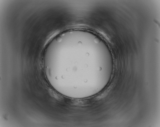 X0000097861405200803140846