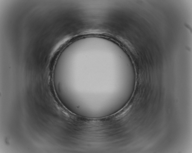 X0000097861406200803140846