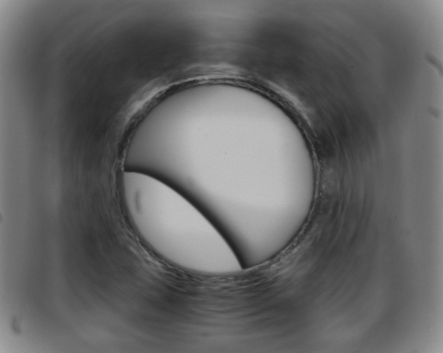 X0000097861407200803140846