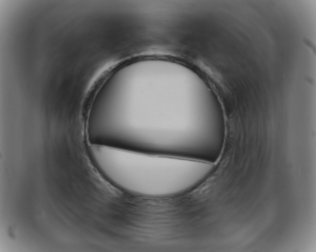 X0000097861408200803140846