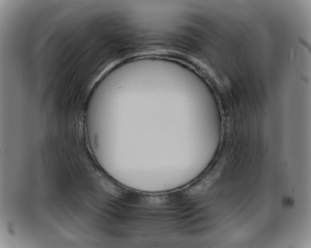 X0000097861409200803140846