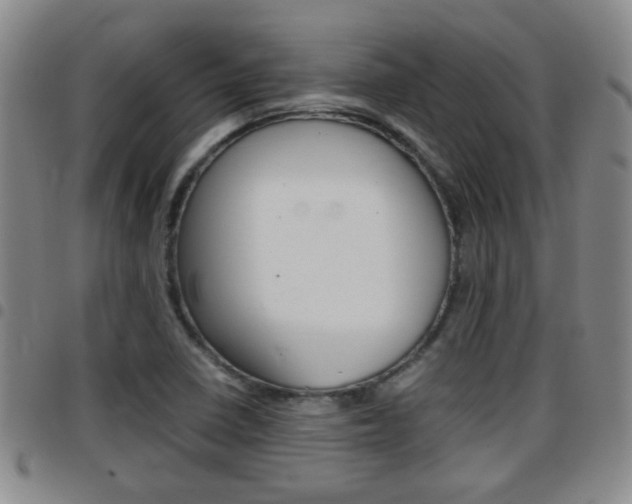 X0000097861410200803140846