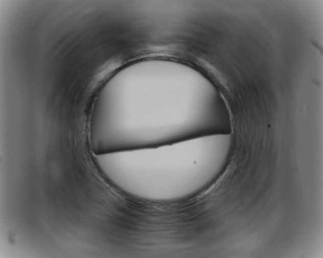 X0000097861411200803140846