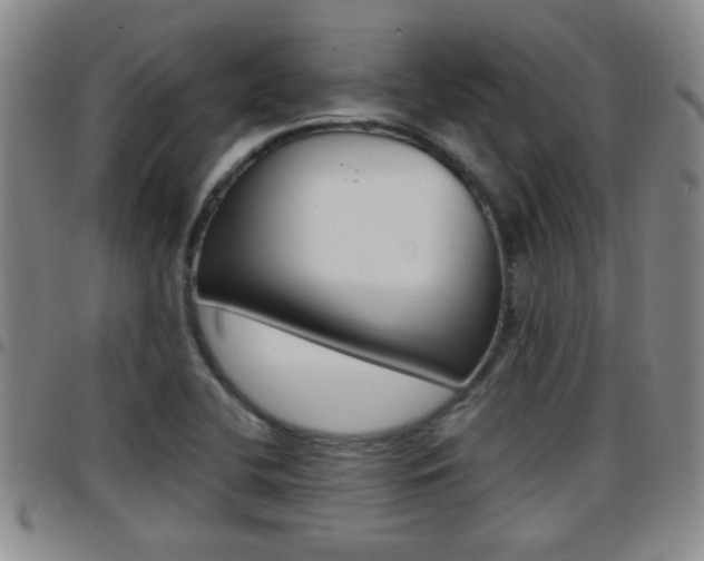 X0000097861412200803140846