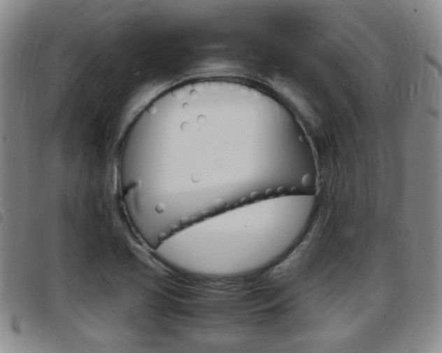 X0000097861413200803140846
