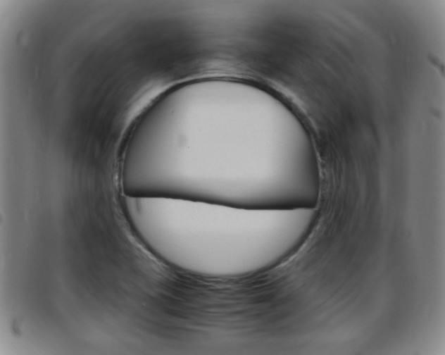 X0000097861415200803140846
