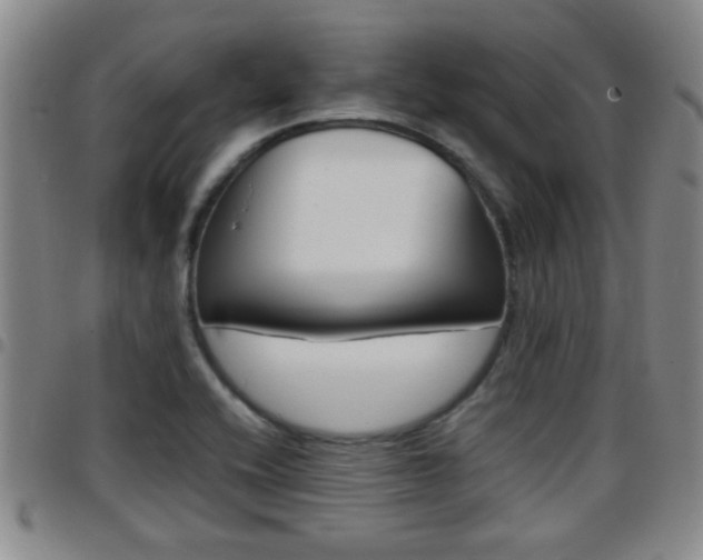 X0000097861416200803140846