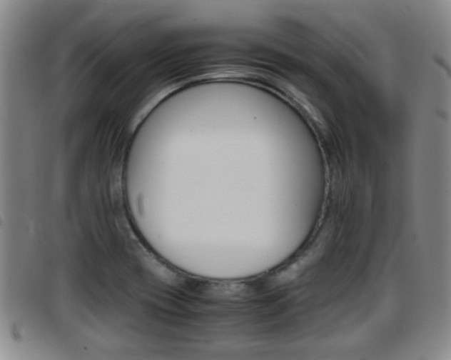X0000097861417200803140846