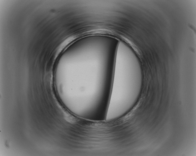 X0000097861418200803140846