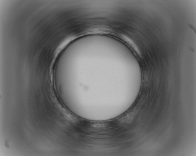 X0000097861419200803140846