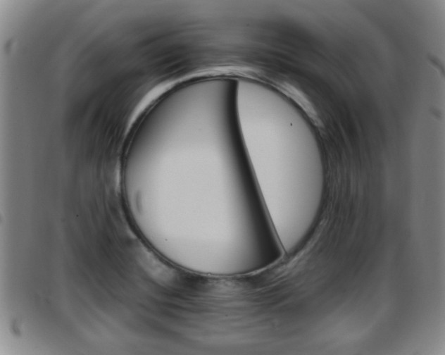 X0000097861420200803140846