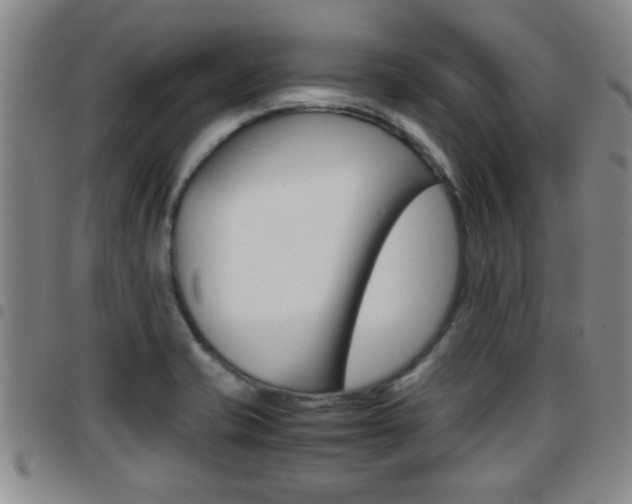 X0000097861421200803140846