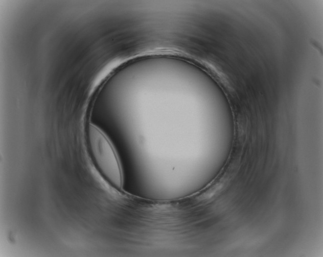 X0000097861422200803140846
