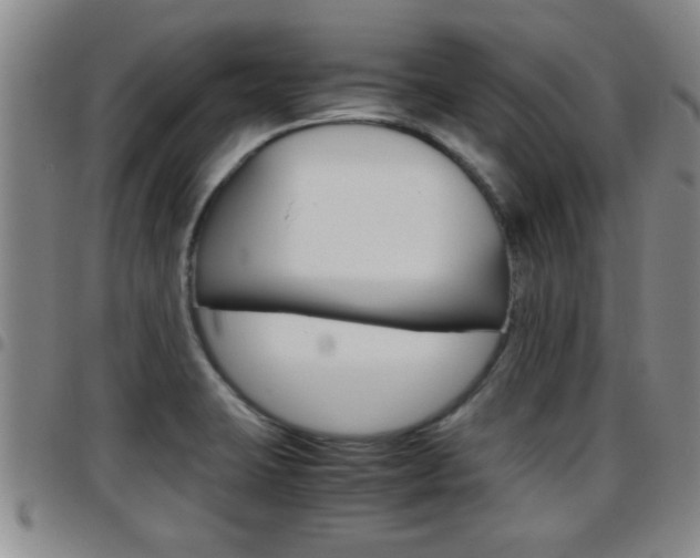 X0000097861423200803140846