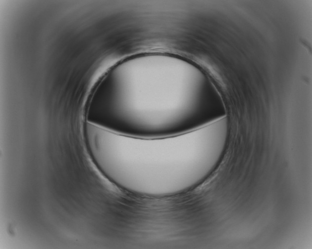 X0000097861424200803140846