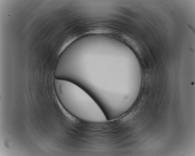 X0000097861425200803140846