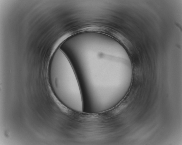 X0000097861426200803140846
