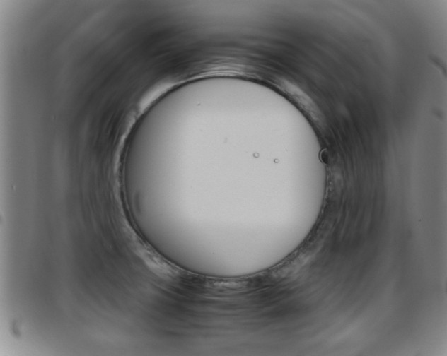 X0000097861427200803140846