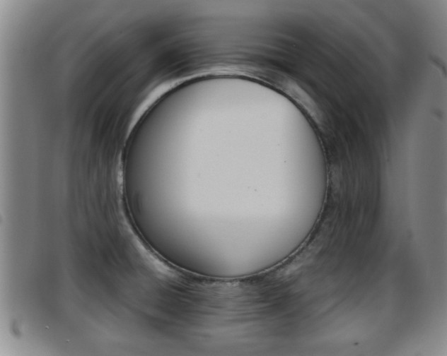 X0000097861428200803140846