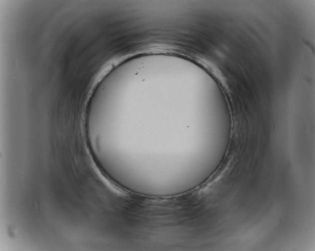 X0000097861429200803140846