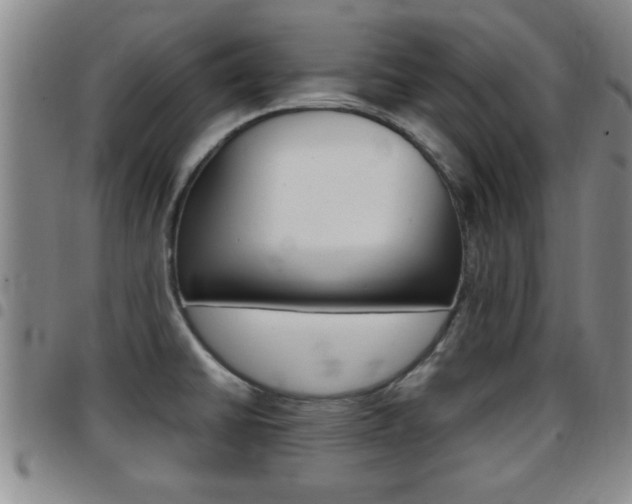 X0000097861430200803140846