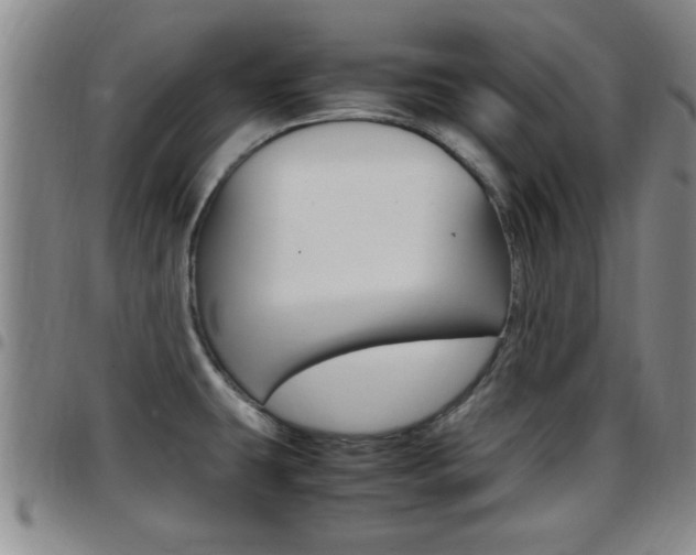 X0000097861431200803140846