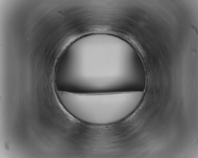 X0000097861432200803140846