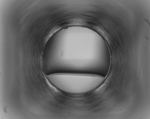 X0000097861433200803140846