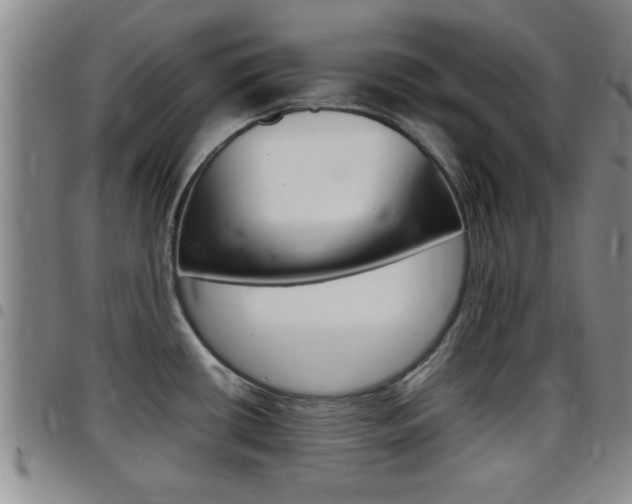 X0000097861434200803140846