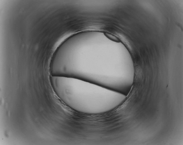 X0000097861435200803140846