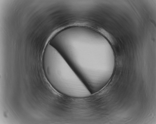 X0000097861436200803140846