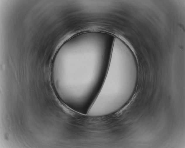 X0000097861437200803140846