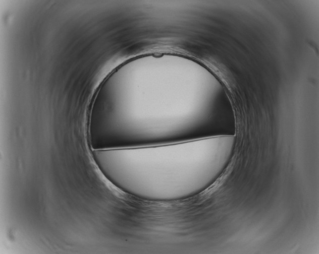 X0000097861438200803140846
