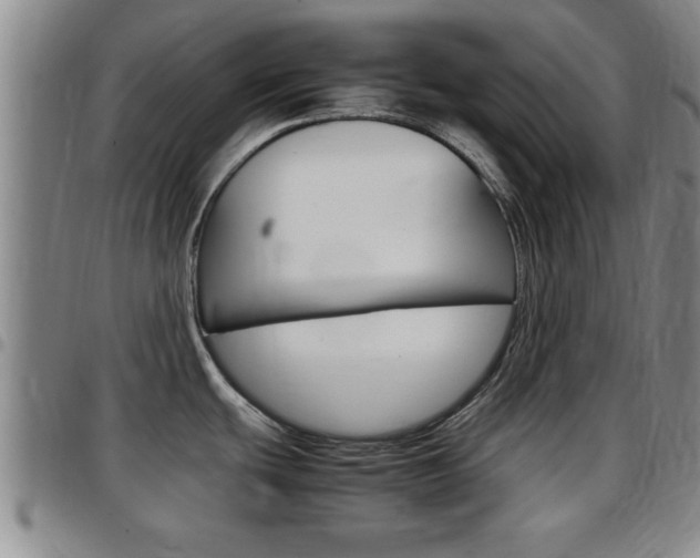 X0000097861439200803140846