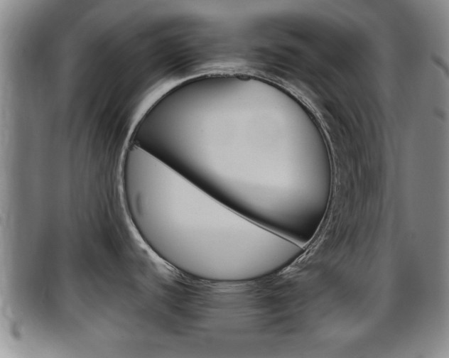 X0000097861440200803140846