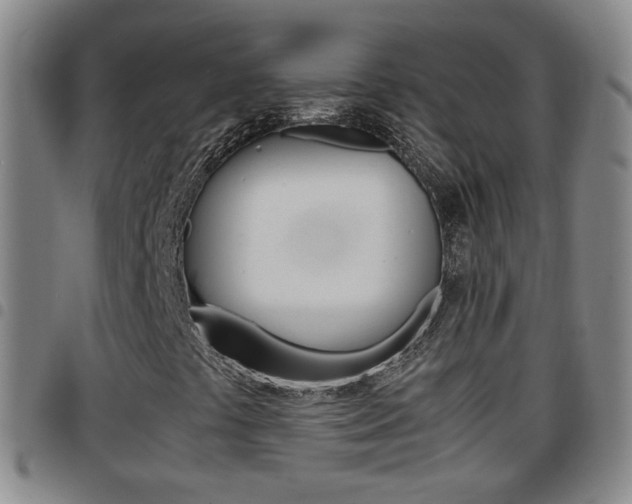 X0000097861441200803140845