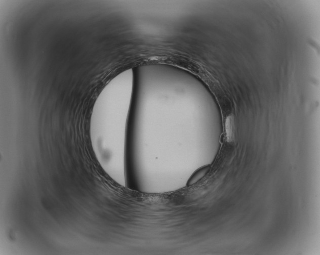 X0000097861443200803140845
