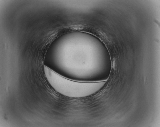X0000097861444200803140845