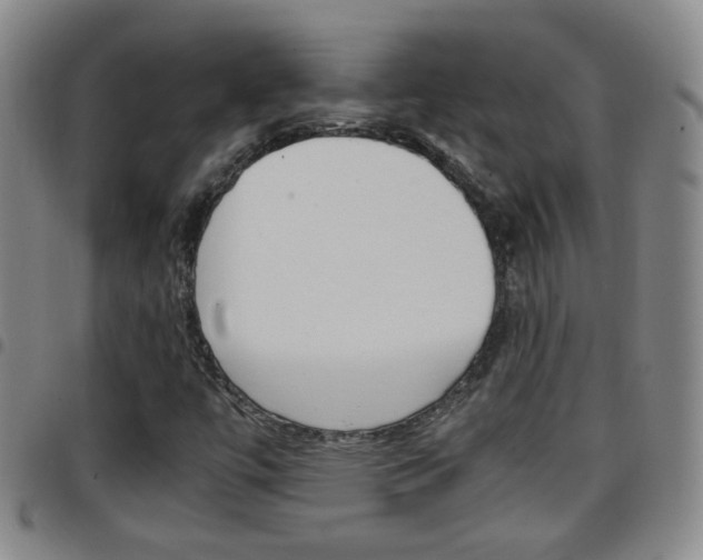X0000097861447200803140845